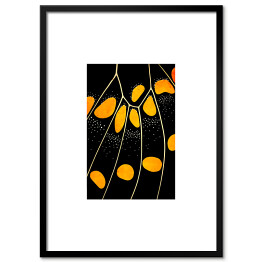Pomarańczowo biało czarne skrzydło motyla