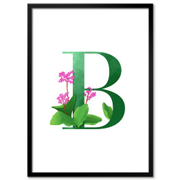 Roślinny alfabet - litera B jak bergenia