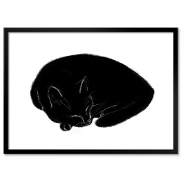 Śpiący czarny koteczek