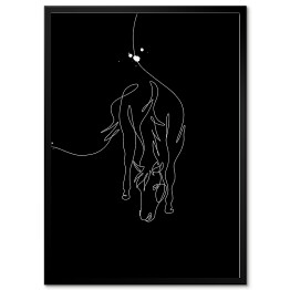 Zarys konia - czarne konie