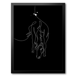 Zarys konia - czarne konie