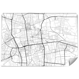 Minimalistyczna mapa Łodzi