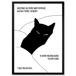 Czarny kot z napisem "Grażynko..." - ilustracja