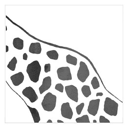 Czarno biała żyrafa - akwarela
