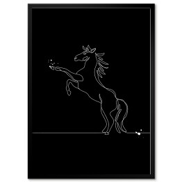 Koń w skoku - czarne konie
