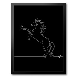 Koń w skoku - czarne konie