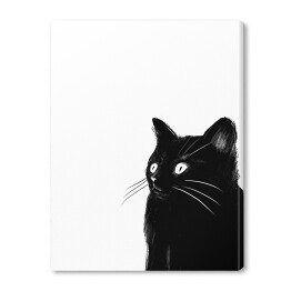 Zaskoczony czarny kotek