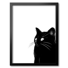 Zaskoczony czarny kotek