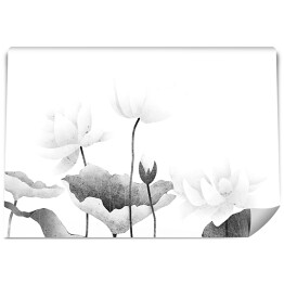 Pastelowe lilie wodne na jasnym tle - czarno białe