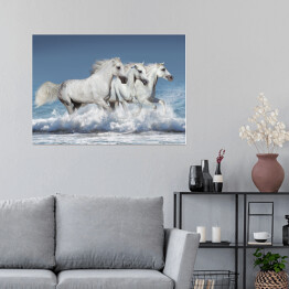 Plakat samoprzylepny Stado białych koni biegnących galopem brzegiem oceanu