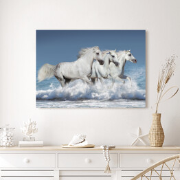 Obraz na płótnie Stado białych koni biegnących galopem brzegiem oceanu