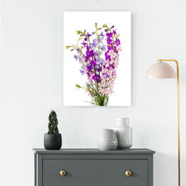 Obraz na płótnie Dzikie kwiaty w różnych odcieniach fioletu