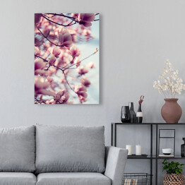 Obraz na płótnie Piękne różowe kwiaty magnolii na błękitnym tle