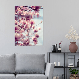 Plakat samoprzylepny Piękne różowe kwiaty magnolii na błękitnym tle