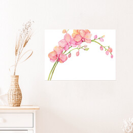 Kwiat orchidei - akwarela w pastelowych kolorach