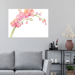 Kwiat orchidei - akwarela w pastelowych kolorach