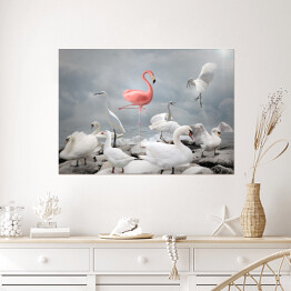 Plakat Różowy flaming wśród białych ptaków