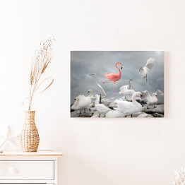 Obraz na płótnie Różowy flaming wśród białych ptaków