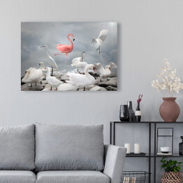 Obraz na płótnie Różowy flaming wśród białych ptaków