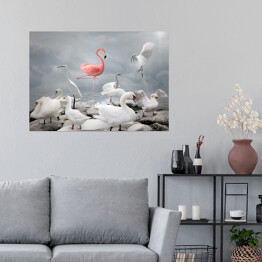 Plakat samoprzylepny Różowy flaming wśród białych ptaków