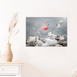 Plakat Różowy flaming wśród białych ptaków