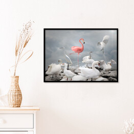 Plakat w ramie Różowy flaming wśród białych ptaków
