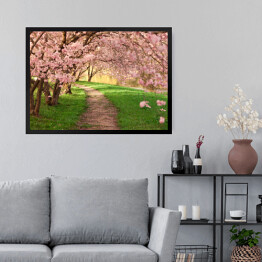 Obraz w ramie Aleja między kwitnącymi drzewami