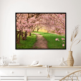 Plakat w ramie Aleja między kwitnącymi drzewami