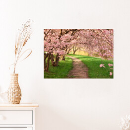 Plakat samoprzylepny Aleja między kwitnącymi drzewami