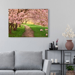Obraz na płótnie Aleja między kwitnącymi drzewami