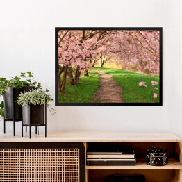 Obraz w ramie Aleja między kwitnącymi drzewami