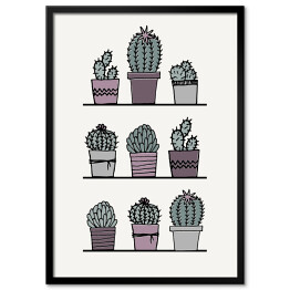 Kaktusy w doniczkach