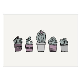 Kaktusy w rzędzie