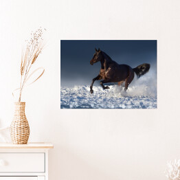 Plakat Brązowa klacz biegnąca w śniegu