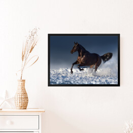 Obraz w ramie Brązowa klacz biegnąca w śniegu