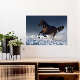Plakat Brązowa klacz biegnąca w śniegu