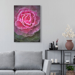 Obraz na płótnie Rozłożysta kwitnąca róża