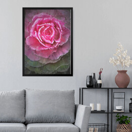 Obraz w ramie Rozłożysta kwitnąca róża