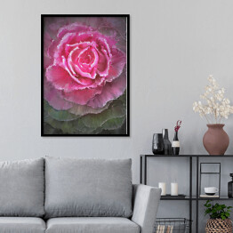 Plakat w ramie Rozłożysta kwitnąca róża