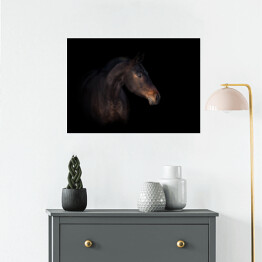 Plakat Podpalany koń na czarnym tle