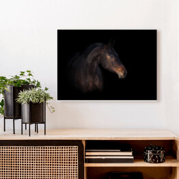 Obraz na płótnie Podpalany koń na czarnym tle