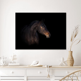 Plakat w ramie Podpalany koń na czarnym tle
