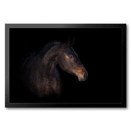 Obraz w ramie Podpalany koń na czarnym tle