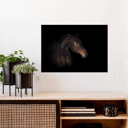 Plakat Podpalany koń na czarnym tle