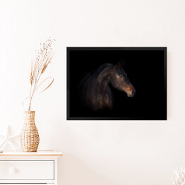 Obraz w ramie Podpalany koń na czarnym tle