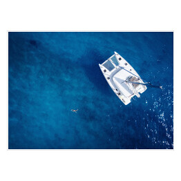 Plakat Katamaran na otwartym morzu - widok z lotu ptaka 