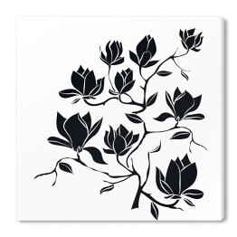Obraz na płótnie Kwitnąca gałąź magnolii na białym tle - ilustracja
