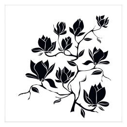 Plakat samoprzylepny Kwitnąca gałąź magnolii na białym tle - ilustracja