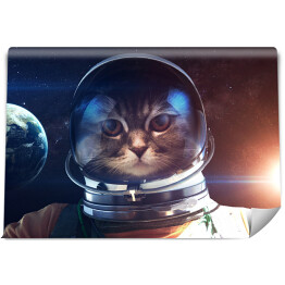 Odważny kot astronauta na spacerze kosmicznym
