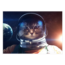Plakat Odważny kot astronauta na spacerze kosmicznym